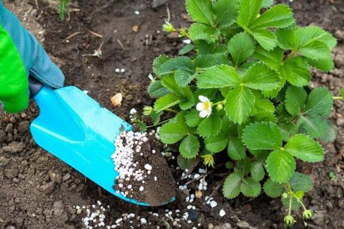 Headlines: 03 Headlines: 03