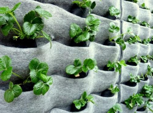 Headlines: 17 Headlines: 17