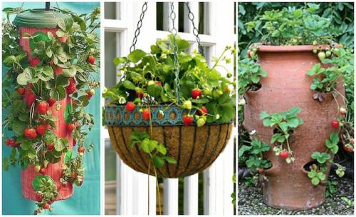 Headlines: 16 Headlines: 16