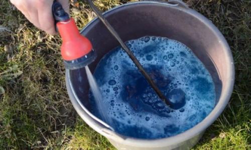 Обработка клубники осенью бордоской жидкостью. Польза и возможный вред