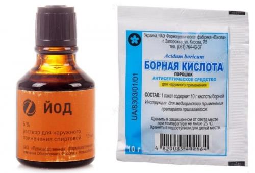 Подкормка клубники весной. Подкормка клубники народными средствами