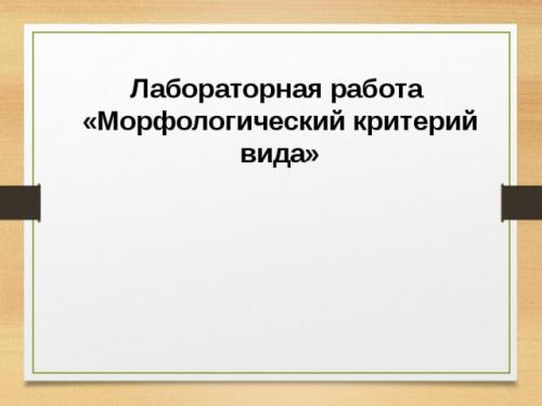 Клевер ползучий жилкование листьев. Содержимое разработки