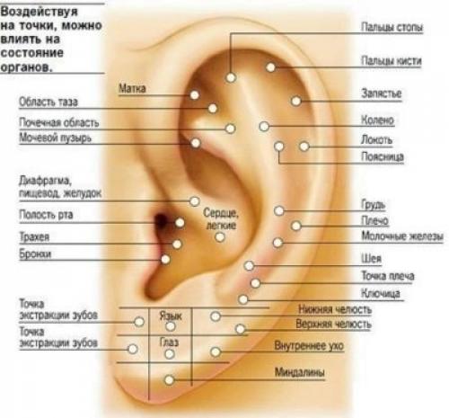 Сколько заживает мочка уха после прокола. О детском пирсинге